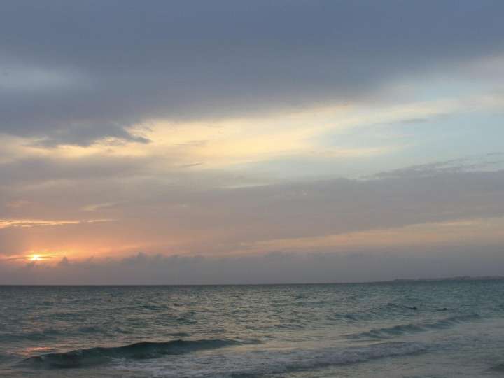 Aromathérapie Craniosacrale