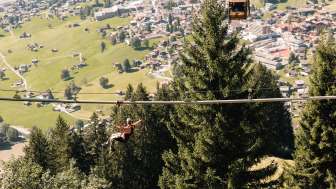 Fly-Line durch den Wald