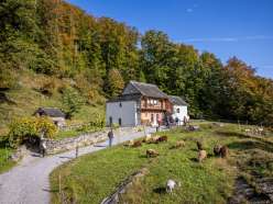 Die Häuser im Freilichtmuseum Ballenberg in ihrer ursprünglichen Bauweise stehen inmitten grüner Wiesen. Die Besucher schauen den Schafen und ziegen beim grasen zu.