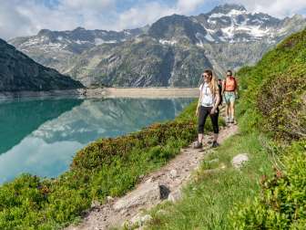 Wanderer laufen rund um den Gelmersee im Haslital. Es geht über einen Pfad zwichen kleinen Büschen entlang dem See.