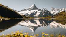 Bachalpsee mit Schreckhorn