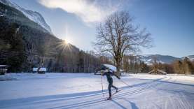 Eine Frau fährt Langlaufski in Grindelwald. Sie ist in Bewegung im Gegenlicht, im Hintergrund ein kahler Baum und mehrere Holzhäuser.