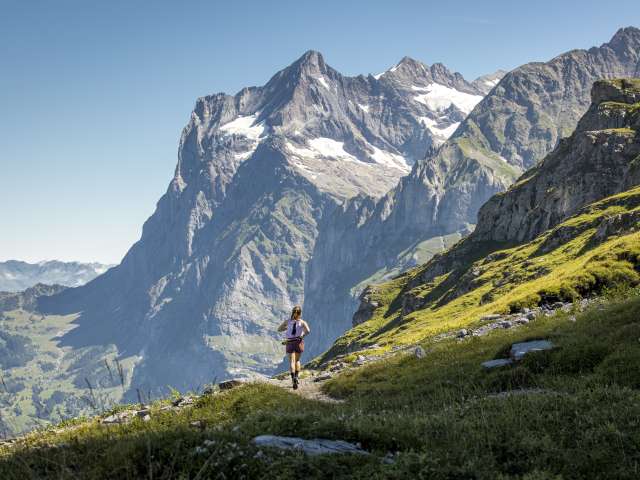 Zum Beitragsreglement