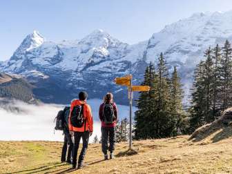 Wanderung über dem Nebelmeer in Mürren. Die Aussicht auf das Bergpanorama mit Eiger, Mönch und Jungfrau hinter dem Nebelmeer ist atemraubend schön. Als Orientierung dienen die Wegweiser.