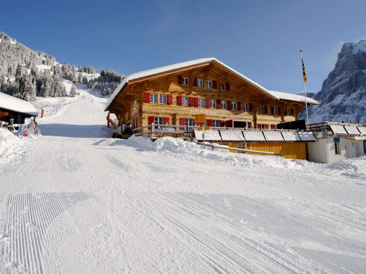 Alpinhotel Bort