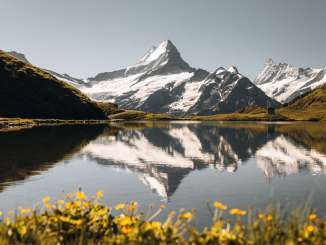 Bachalpsee mit Schreckhorn, Spiegelung im Bachalpsee.