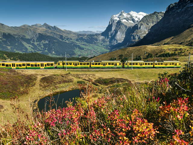 Destination - Grindelwald Tourism