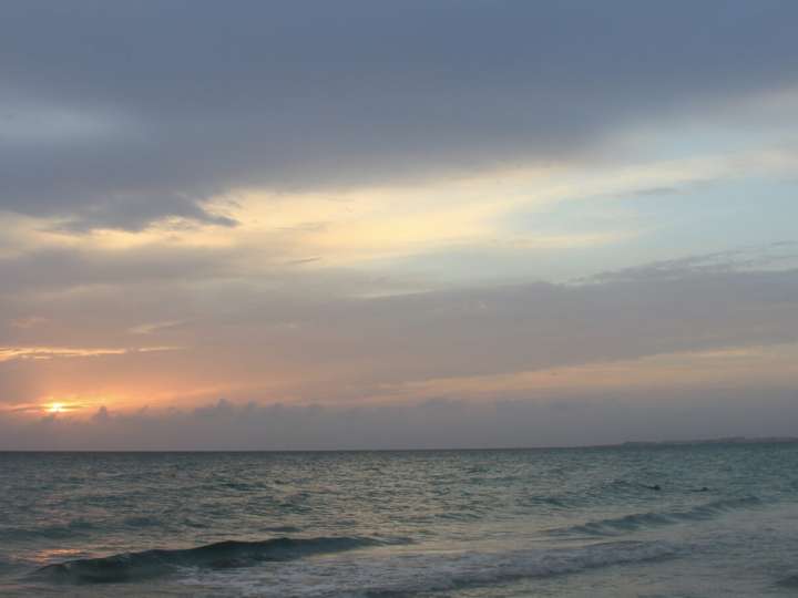 Aromathérapie Craniosacrale