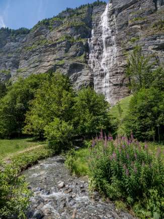 Der Mürrenbachfall fällt die steile Felswand hinunter. Im Vordergund fliesst ein kleiner Bergbach.