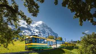 Wengernalpbahn