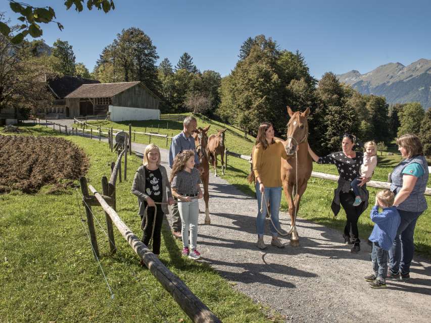 25% de réduction: Entrée au musée en plein air de Ballenberg 