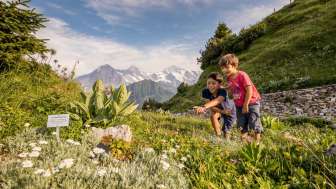 Alpengarten