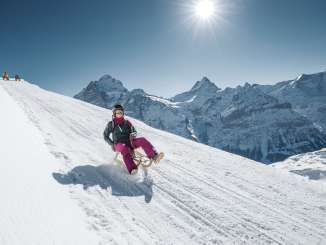 Schlitten First - Faulhorn - Bussalp. Die Strecke bietet eine imposante Panoramasicht auf den Eiger und dazugehörige Bergkette.