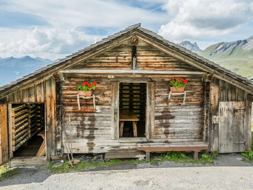 8 Faits Random Suisse