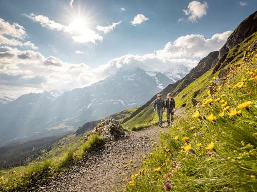 Kleine Scheidegg and Top of Europe