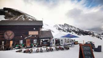 Genepi