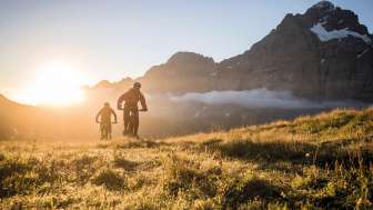 Mountain bike