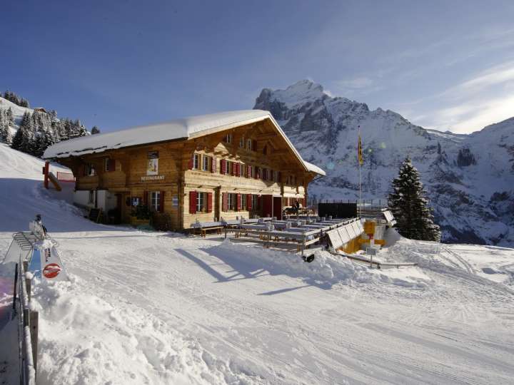 Alpinhotel Bort