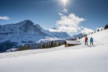 Winterwanderung auf verschneiten Winterwanderwegen rund um Grindelwald. Die Wanderer geniessen den sonnigen Tag und imposanten Ausblick auf den Eiger.