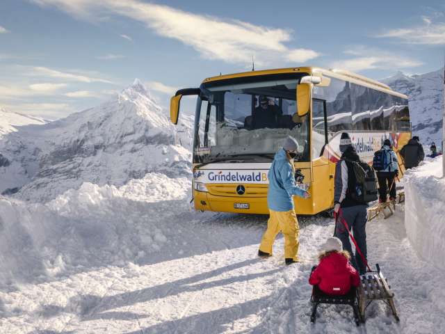 Statut des lignes de bus