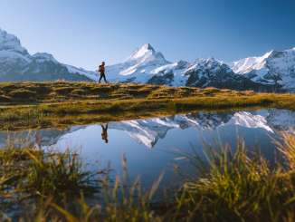 Wanderung beim Bachalpsee, mit verschneitem Schreckhorn im Hintergrund.