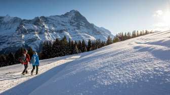 Winterwanderungen