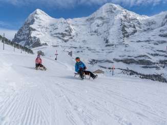 Rasante Schlittelabfahrt auf dem Fox Run auf dem Männlichen. Im Hintergrund erstreckt sich das weisse Dreigestirn Eiger, Mönch und Jungfrau.