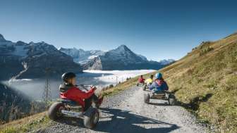 Mountain Carts