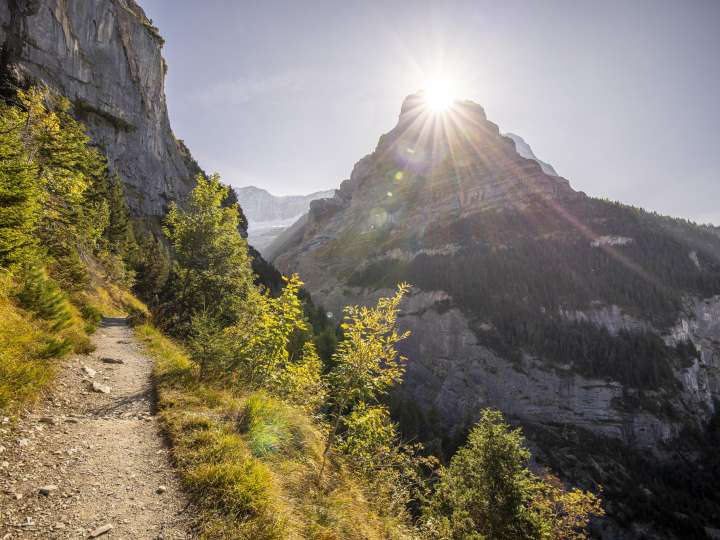 Fireplace Baumwipfelpfad