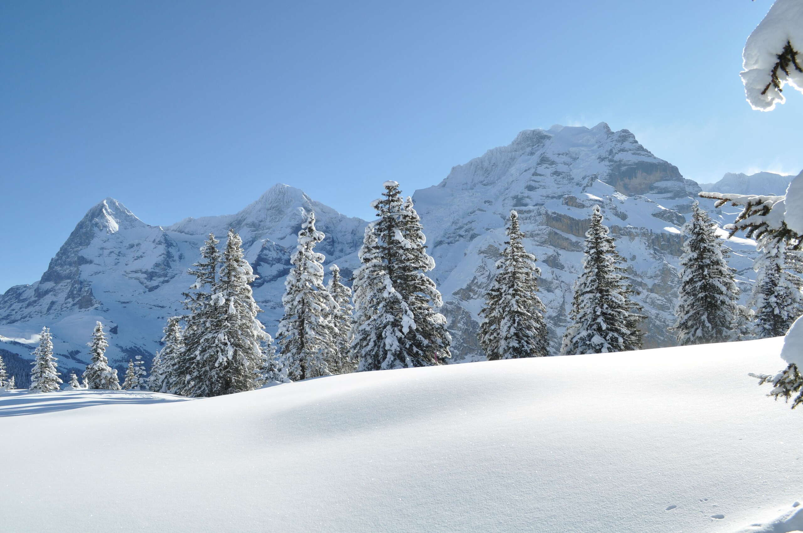 Unberührte Winterlandschaft auf der Chänelegg mit Aussicht auf Eiger, Mönch und Jungfrau.