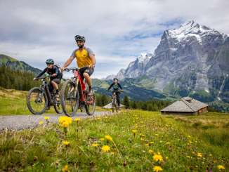 Three cyclists ride past fields of yellow flowers with the Schreckhorn in the background. 