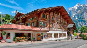 Hotel Steinbock