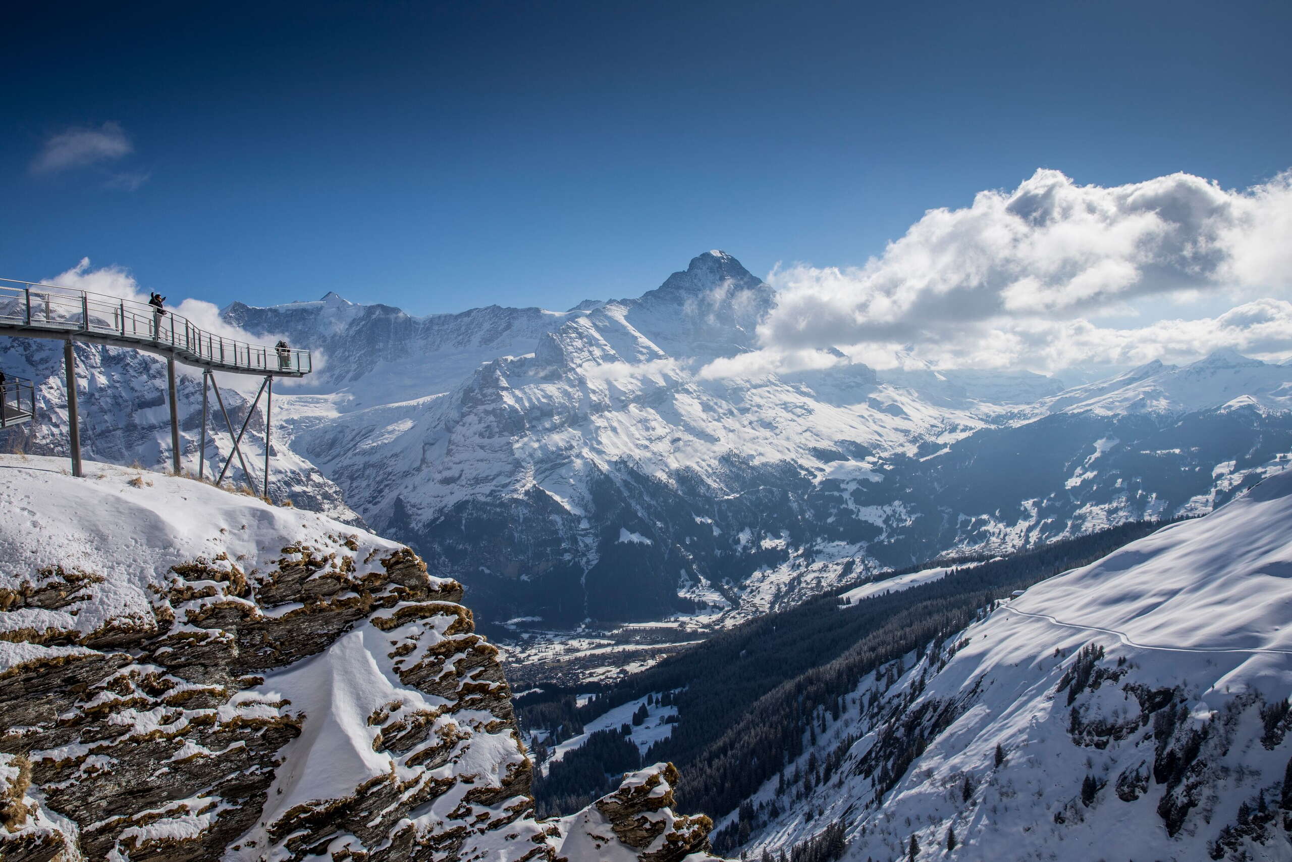 View of the First Cliff forest and the snow-covered mountain panorama on the horizon.