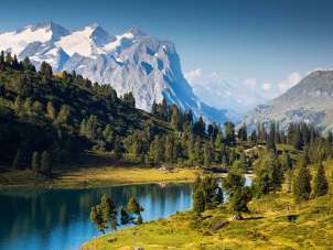Der Engstlensee ist umgeben von grünen Wiesen und Nadelbäumen. Im Hintergrund sind die verschneiten Berggipfel zu sehen.