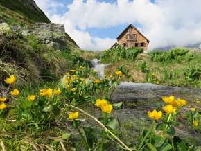 Die Gaulihütte steht inmitten einer grünen Landschaft. Der kleine und wilde Bergbach fliesst über die Wiese und begiesst die Blumen. Der Himmel ist leicht bewölkt.