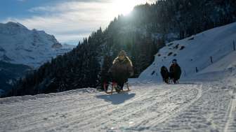 Schlitteln und Velogemeln