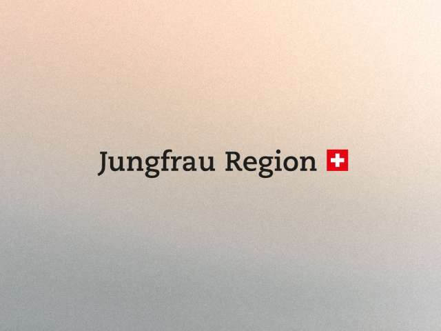 Medizinisches Angebot