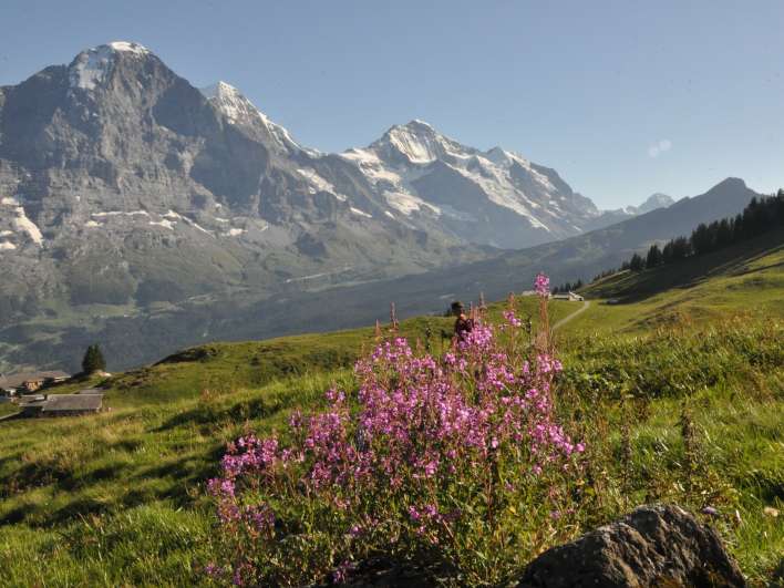 Alpen-Paradies Burglauenen