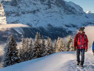 Winterwanderung auf verschneiten Winterwanderwegen rund um Grindelwald. Die Wanderer geniessen den sonnigen Tag und imposanten Ausblick auf den Eiger.