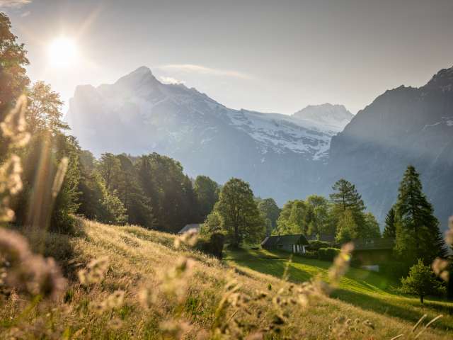 "Tourismus - das sind wir" Berner Zeitung