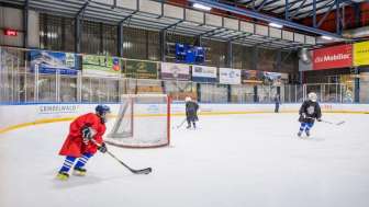 Eishockey