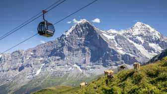 30% discount: Grindelwald-Männlichen Gondola Cableway