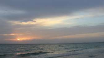 Aromatherapy Craniosacral