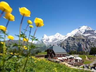 Das Panorama Restaurant Allmendhube und der Abenteurspielplatz Flower Park im Sommer vor eindrücklicher Bergkulisse.