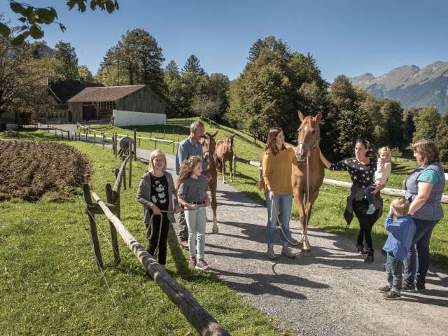 25% Rabatt: Eintritt Freilichtmuseum Ballenberg 