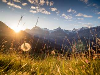 Grindelwald Bussalp