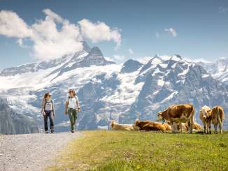 Hiking at Bachalpsee
